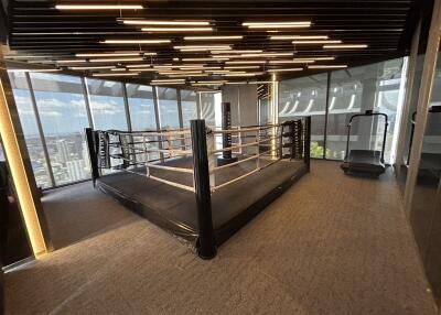 Spacious gym area with boxing ring and treadmill