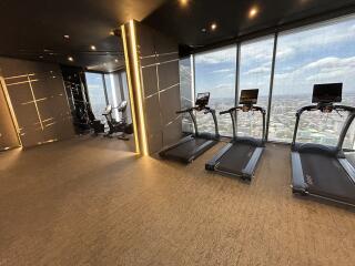 Modern gym with treadmills and exercise bikes, with a city view.