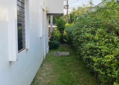 Side view of a house with a narrow garden pathway