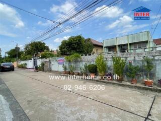 Street view with buildings and potted plants