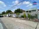 Street view with buildings and potted plants