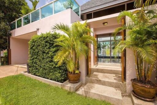 Entrance of a modern house with a garden and potted plants