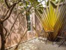 Cozy outdoor seating area with a small table and chairs surrounded by plants