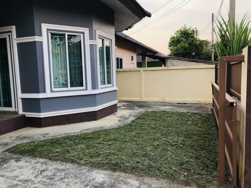 View of the side yard with freshly cut grass and a border of a house with large windows