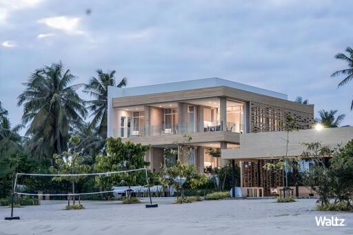 Modern beach house with large windows and palm trees