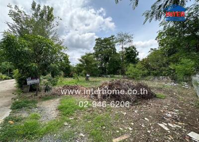 Vacant land with trees and vegetation