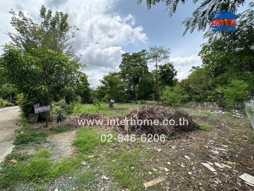 Vacant land with trees and vegetation