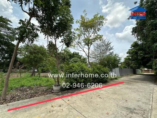 Concrete driveway with trees and greenery