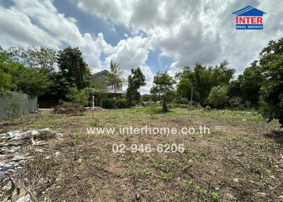 Outdoor vacant lot with surrounding greenery