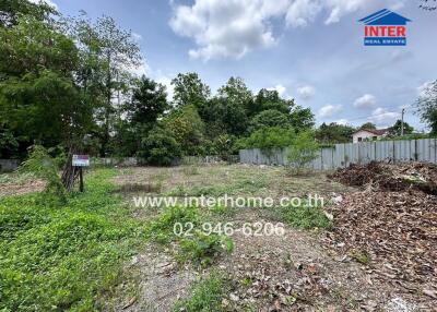 Vacant land with greenery