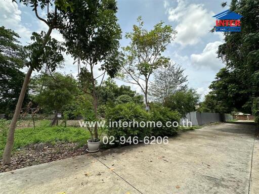 Spacious outdoor area with trees and driveway