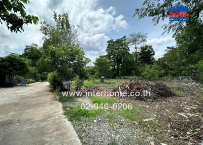 Vacant land with greenery and a paved path