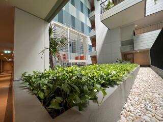 Modern apartment building atrium with plants and seating area