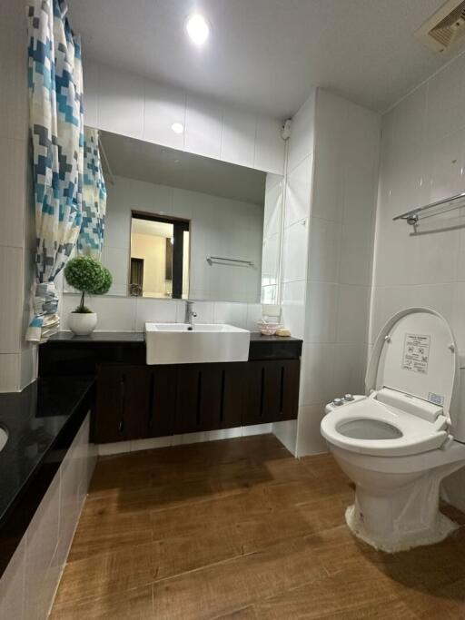 Modern bathroom with a large mirror and a potted plant on the counter