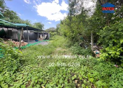 Outdoor area with greenery