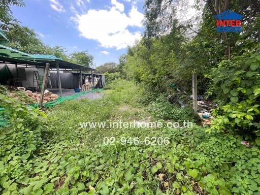 Outdoor area with greenery