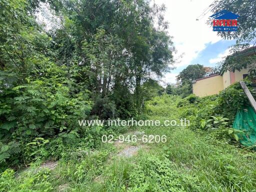 Photo of a plot of land surrounded by trees