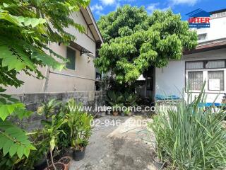 Outdoor area with plants and trees