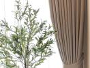 Living room with beige curtains and indoor plant