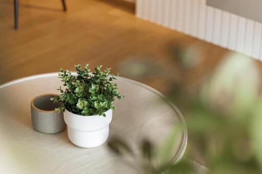 Close-up of a coffee table with a small plant and a ceramic cup
