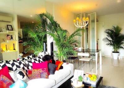 Living room with vibrant decor and indoor plants