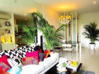 Living room with vibrant decor and indoor plants