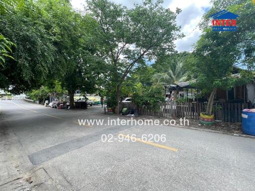 Street view with trees and houses