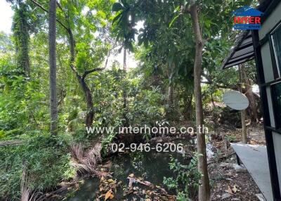 View of lush greenery and water feature outside the property