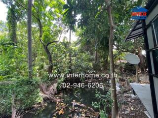 View of lush greenery and water feature outside the property