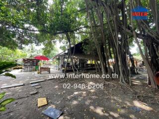 Outdoor area with trees, seating, and a structure