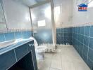 Bathroom with blue tiles and shower area