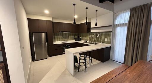 Modern kitchen with dark wood cabinets, stainless steel appliances, and a breakfast bar