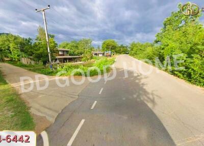 Property access road with surrounding greenery