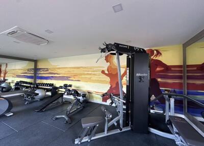 Well-equipped gym with vibrant wall art