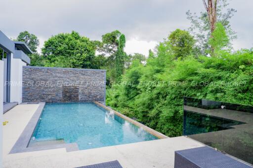 Modern outdoor swimming pool with lush greenery