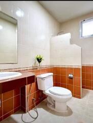 Modern bathroom with contrasting tiling