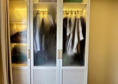 Closet with frosted glass doors