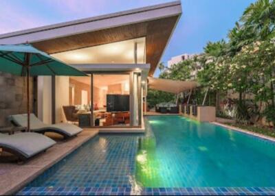Modern villa with private swimming pool and lounge area