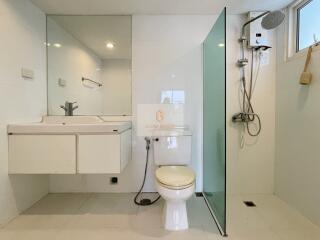 Modern bathroom with shower and toilet