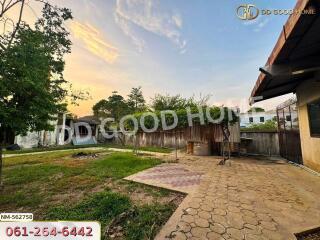 Spacious backyard with greenery and paved area