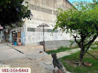 Outdoor view with concrete area and garden