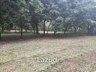 Ultra Luxury Freehold Land in Don Sila Chiang Rai
