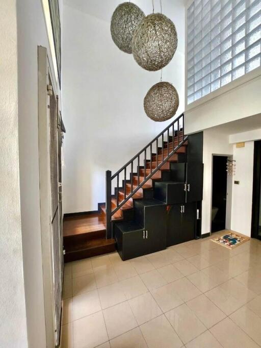 City Plus Sukhumvit 50 - 250 sqm. Townhouse with 3 Beds, 4 Baths