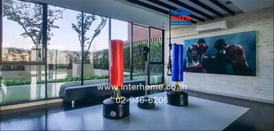 Modern gym with large windows and boxing equipment