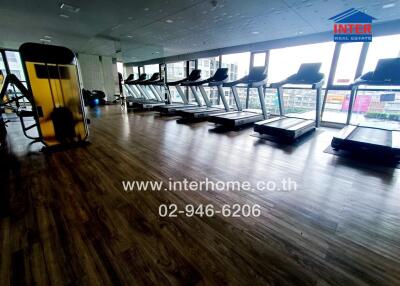 Modern fitness center with multiple treadmills and large windows