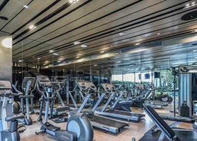 Modern gym with various exercise equipment