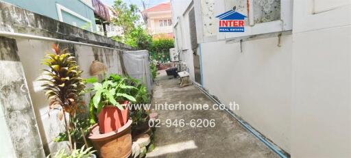 Narrow exterior space with plants and a concrete pathway