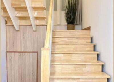 Wooden stairs with closet underneath