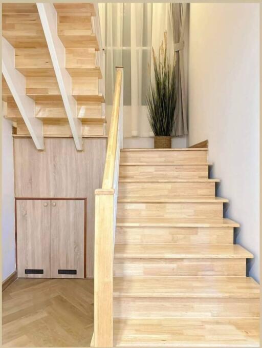 Wooden stairs with closet underneath