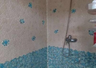 Shower area in a bathroom with floral tile patterns